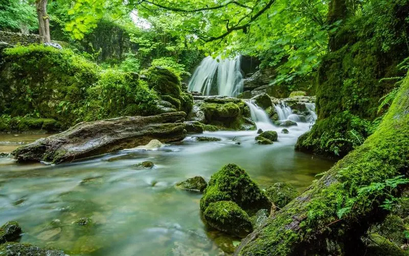 高效科技高标准